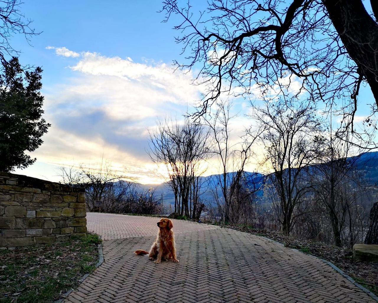 Agriturismo Il Salice Tizzano Val Parma Zewnętrze zdjęcie